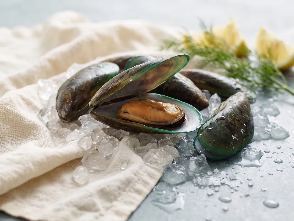 Moule verte